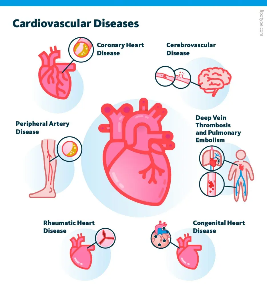 Cardiovascular Disease Detection and Prevention Project
