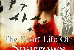 The Short Life of Sparrows