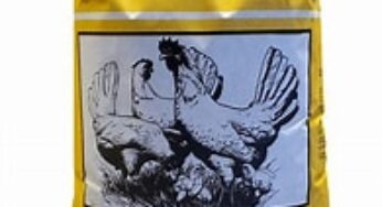 A Must Read for All Poultry Farmers: A Poultry Nutrition Guide