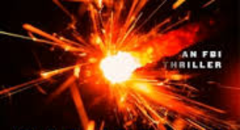 Read Flashpoint eBook Summary