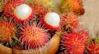 Freak Fruit Frenzy: The Oddest-Looking Fruits and Vegetables
