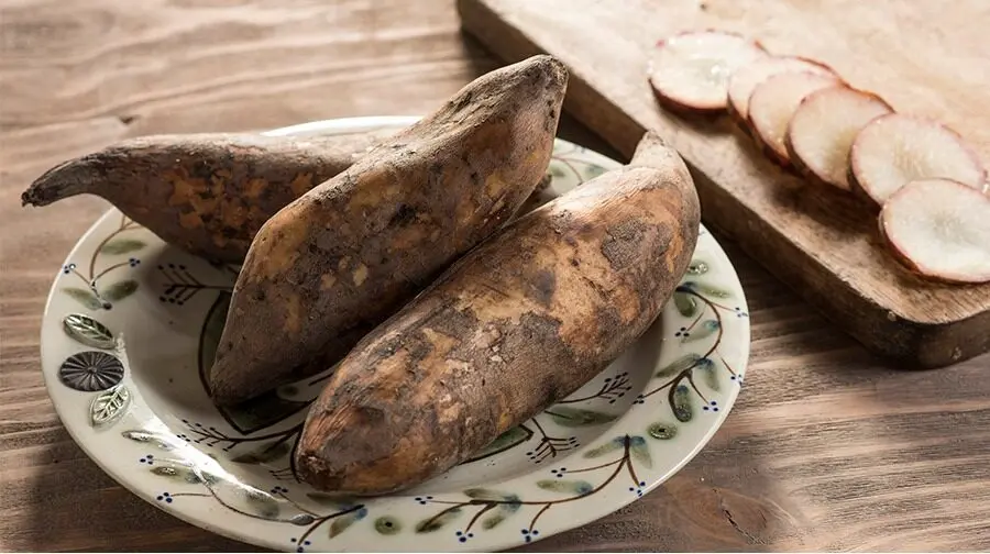 Nature's Strangest Delights
