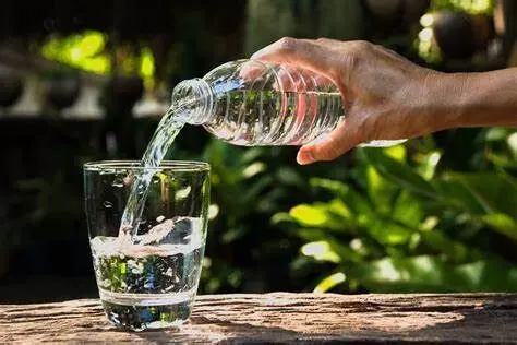 What to Eat Before You Drink
