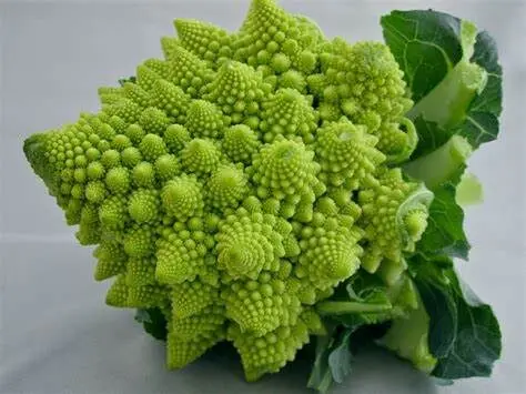 The Oddest-Looking Fruits and Vegetables