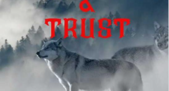 Tears, Trials, & Trust