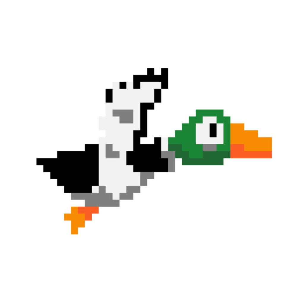 python simple games: the flying duckling