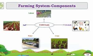 Agricultural Farming Systems that Can Save Nigeria