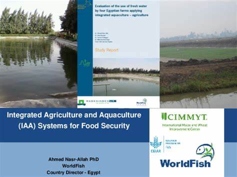  Integrated Aquaculture-Agriculture (IAA) System