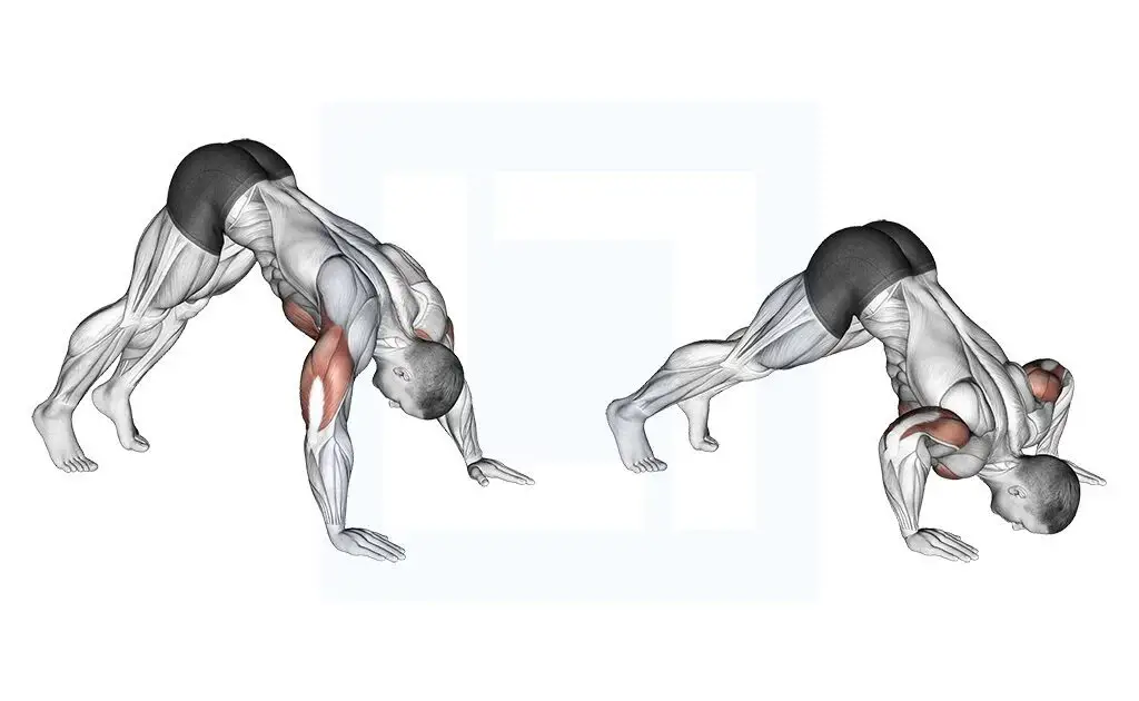 Pike Push-Up