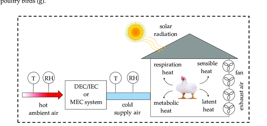 Birds are subject to heat stress when the air temperature and humidity uncontrollably increase their core body temperature