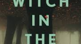 The Witch in the Well by Camilla Bruce