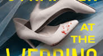 The Stranger at the Wedding eBook Summary