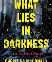 What Lies in Darkness by Christina McDonald eBook Summary