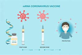 mRNA vaccine