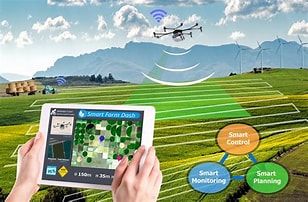 Precision Agriculture: Farming with Data