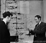 James Watson and Francis Crick (1953)