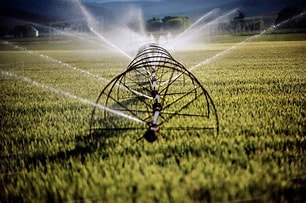 Types of Irrigation Systems Commonly Used Around the World