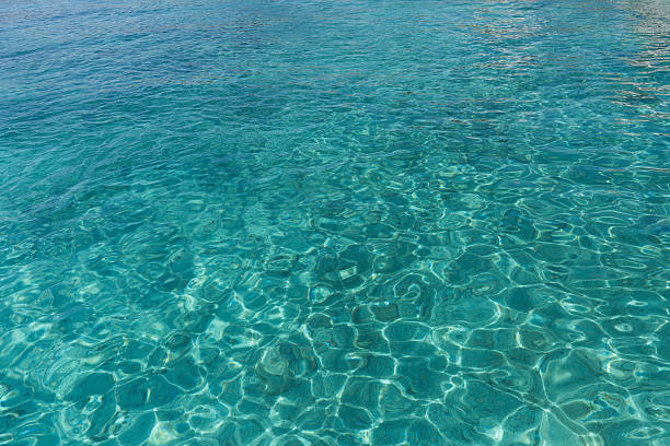 The Glowing Waters of Vaadhoo Island, Maldives. Such a unique place 