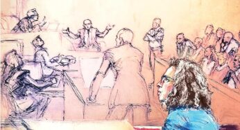 Read Drawn Testimony by Jane Rosenberg Summary