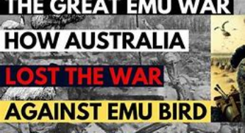 The Great Emu War: When Australia Took on Birds and Lost