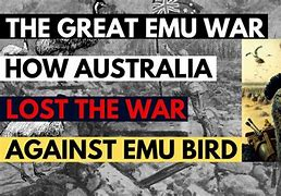 When Australia Took on Birds and Lost