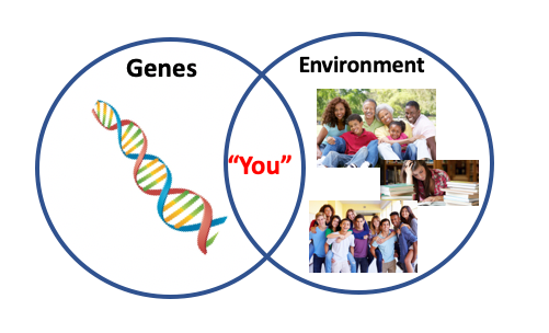 Free will and how the genes and environment affect it