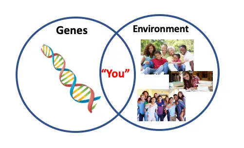 Free will and how the genes and environment affect it