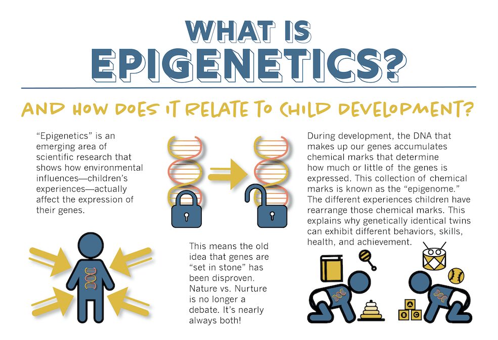 Is free will an illusion: How free will relates to Epigenetics