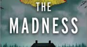 The Madness by Dawn Kurtagich eBook Summary