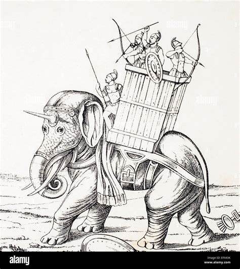 The Use of Elephants