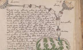 The Voynich Manuscript