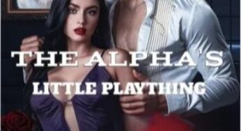 Read The Alpha’s Little Plaything Ebook Here