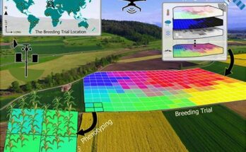 AI-Powered Soil Analysis for Precision Nutrient Management: Revolutionizing Agriculture