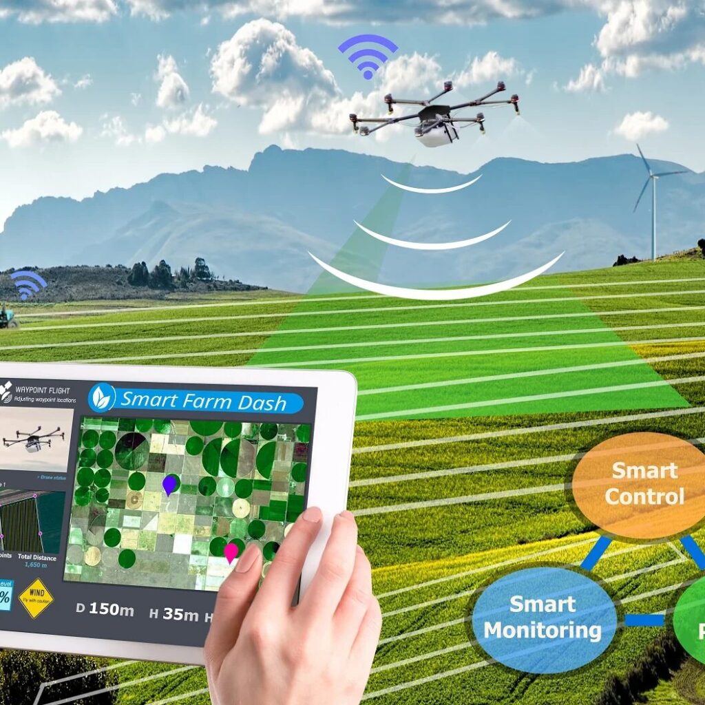 Keeping Crops Safe: IoT Applications in Monitoring Crop Storage Conditions