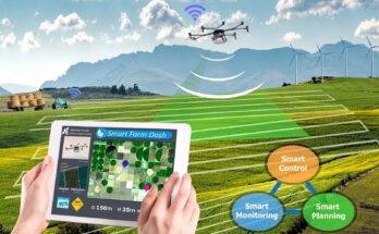 Keeping Crops Safe: IoT Applications in Monitoring Crop Storage Conditions