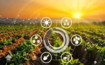 AI-Powered Soil Analysis for Precision Nutrient Management