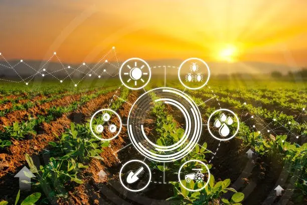 AI-Powered Soil Analysis for Precision Nutrient Management