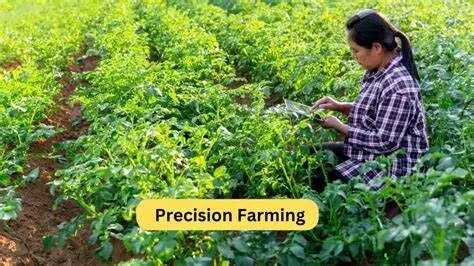 Precision Agriculture Techniques for Enhancing Organic FarmingPrecision Agriculture Techniques for Enhancing Organic Farming