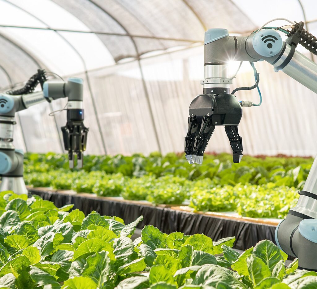 Smart Farming Practices for Enhancing Pollination Efficiency