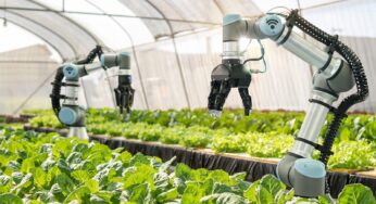 Smart Farming Practices for Enhancing Pollination Efficiency