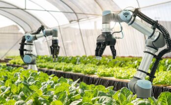 Smart Farming Practices for Enhancing Pollination Efficiency