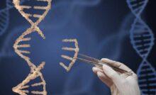gene modification