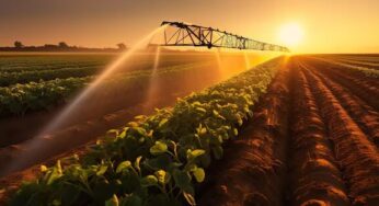 AI-Driven Water Management Systems for Arid Agriculture