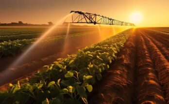 AI-Driven Water Management Systems for Arid Agriculture