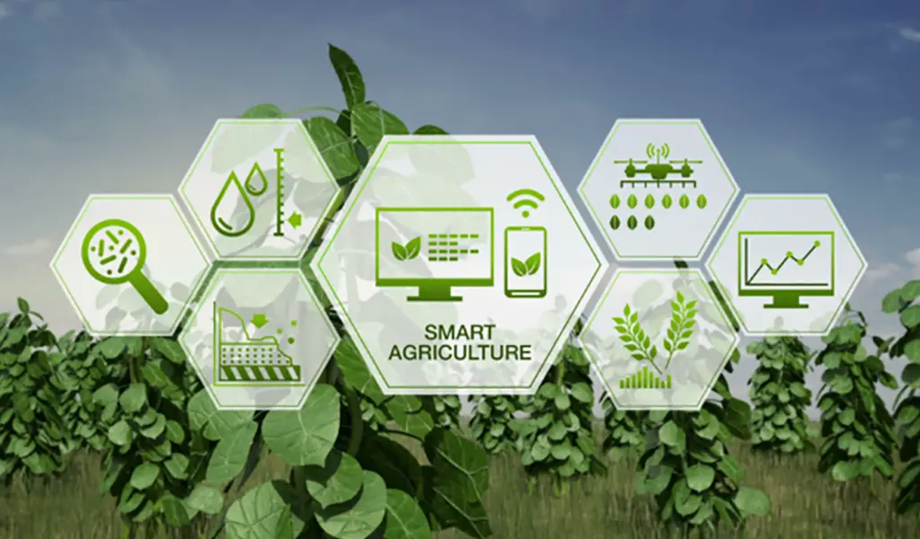 How IoT Enhances Traceability in Agricultural Exports