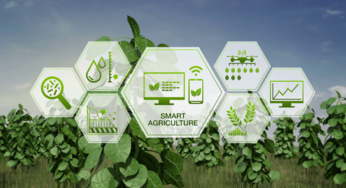How IoT Enhances Traceability in Agricultural Exports