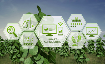 How IoT Enhances Traceability in Agricultural Exports