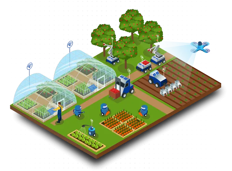 The Future of IoT in Agricultural Export Traceability
