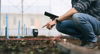 Smart Sensors for Monitoring Plant Growth Stages in Real-Time