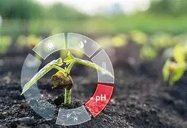 IoT-Based Monitoring of Soil pH Levels